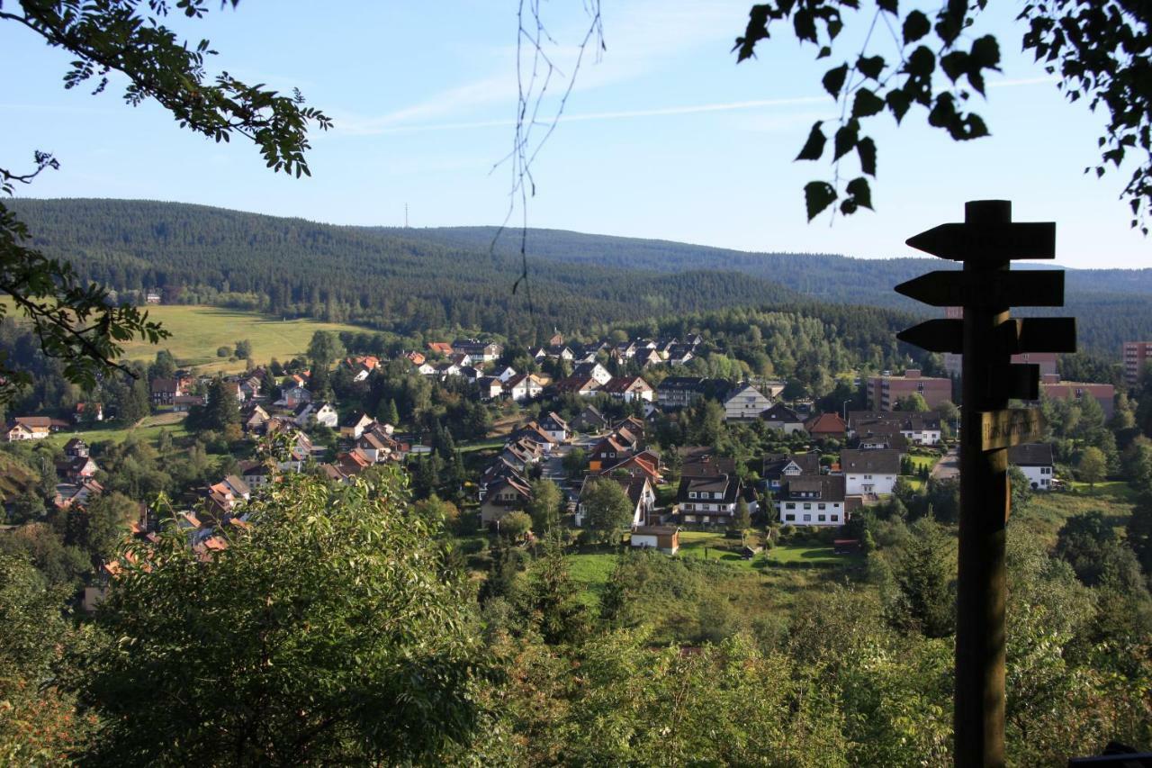 Willa Kurpark Domizil Altenau  Zewnętrze zdjęcie